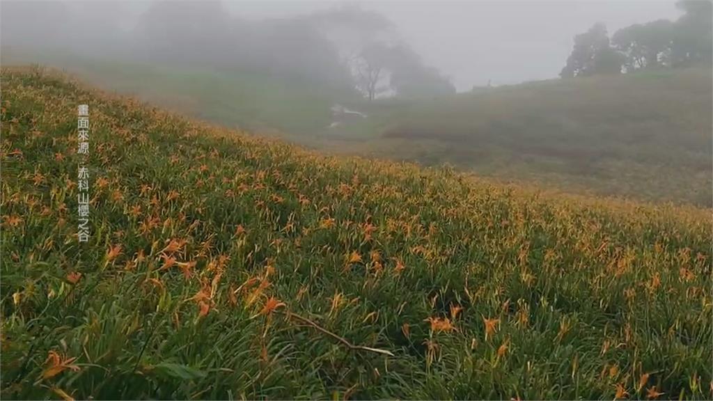 海葵重創金針花季　道路中斷上百人受困赤科山