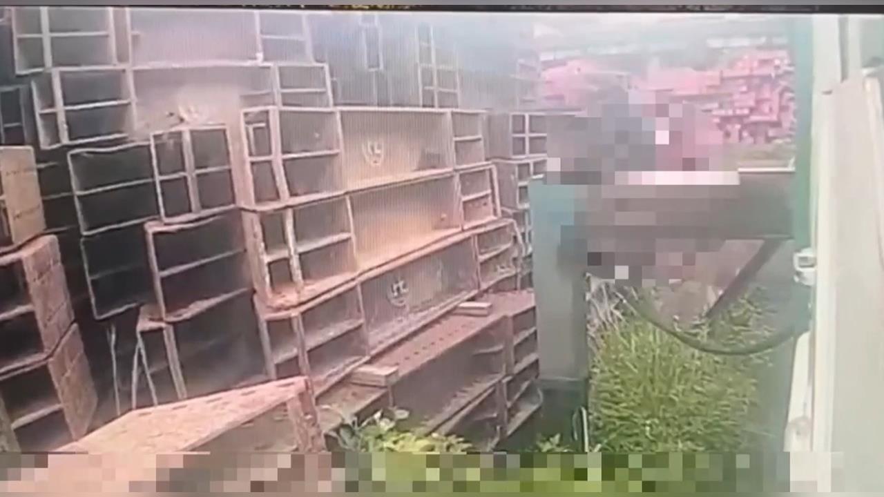 快新聞／建築鋼材從天降！北市文山區工人被壓死　勞檢處要查