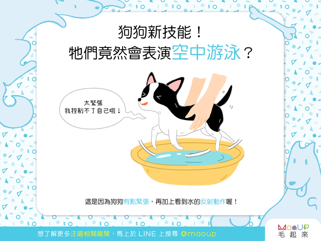 【汪汪行為學】狗狗新技能！牠們竟然會表演空中游泳？