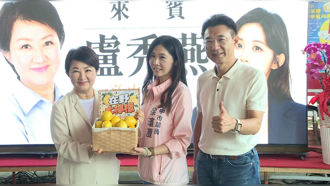 盧秀燕促「在野大聯盟」！　綠諷自打臉、藍小雞：各自努力