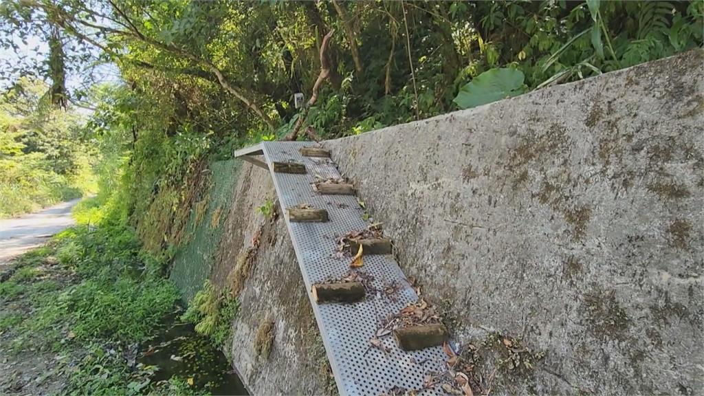 保護山林生態西林林道設動物友善攀網 民視新聞網