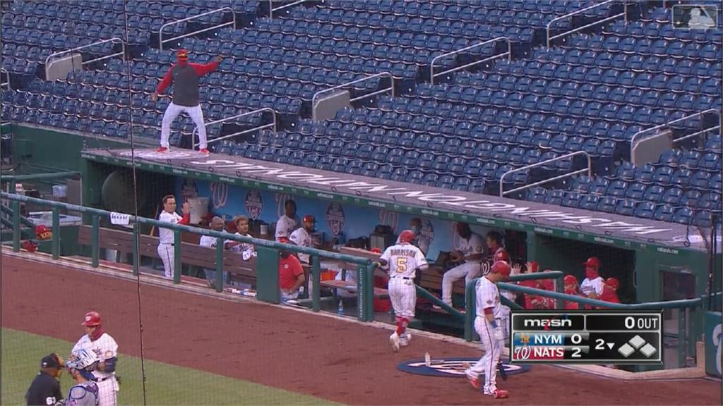 MLB／國民新隊友開轟 索托爬上看台區自嗨熱舞