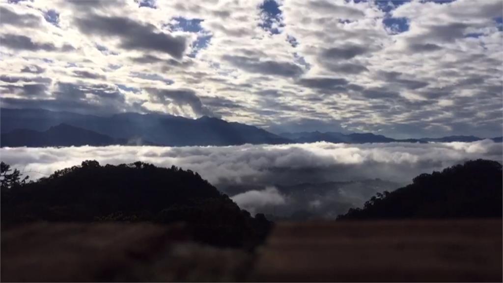 季節限定美景！大湖「薑麻園」賞磅礡雲海