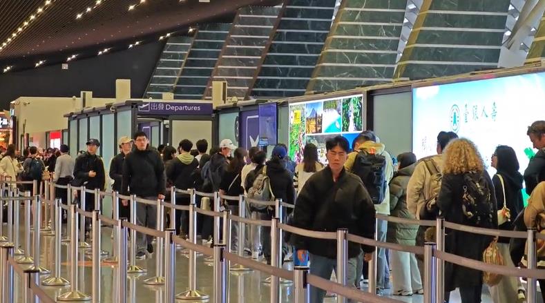 快新聞／旅日注意！桃機推「日本入境事先確認」　實施日期曝光