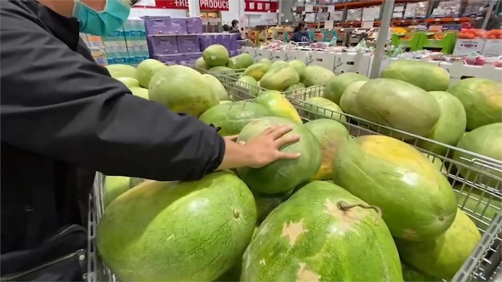 挑西瓜爬入欄內 挨批當球池玩?