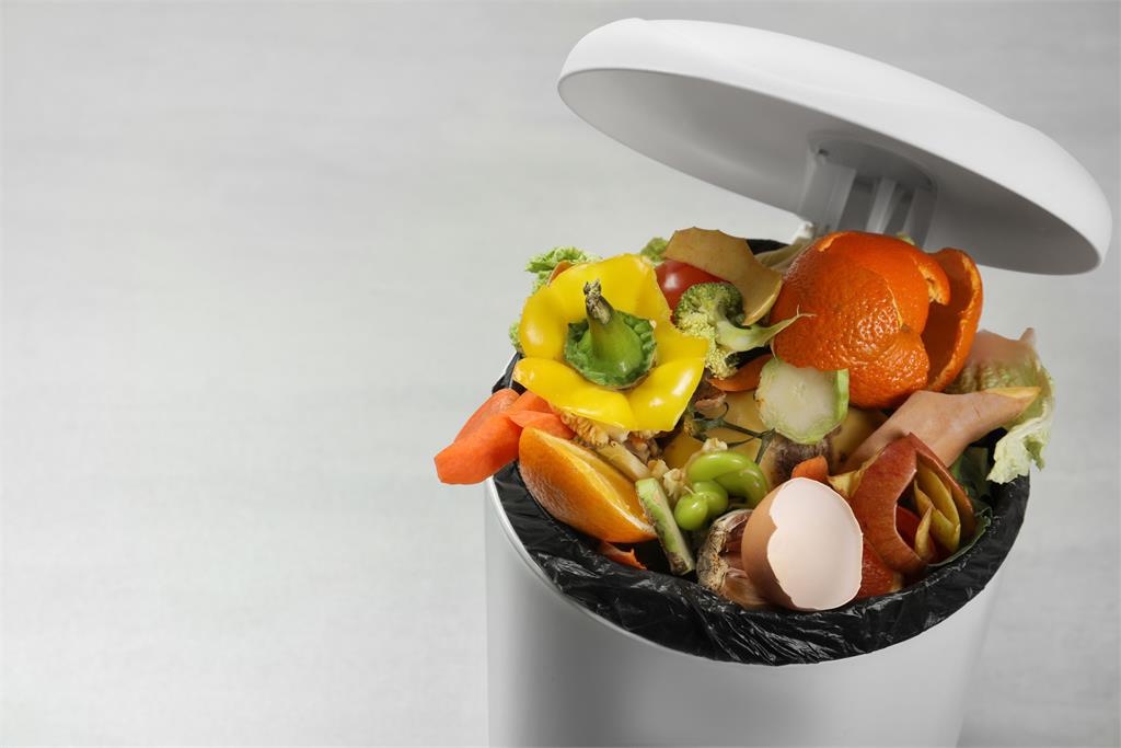 懶人救星還是荷包殺手？廚餘機優缺點大公開