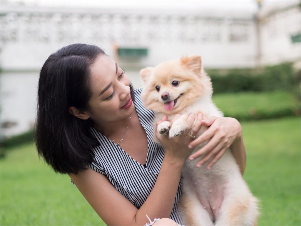 妳的貓好胖!飼主在路上聽到哪些話會內心糾結?