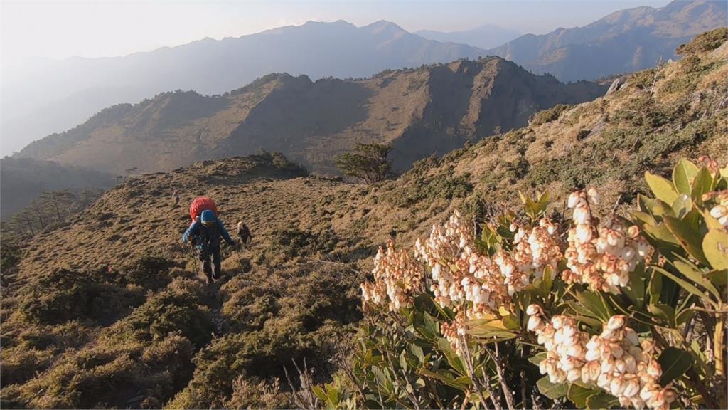 勇闖中央山脈南二段 體驗山陵美景萬變