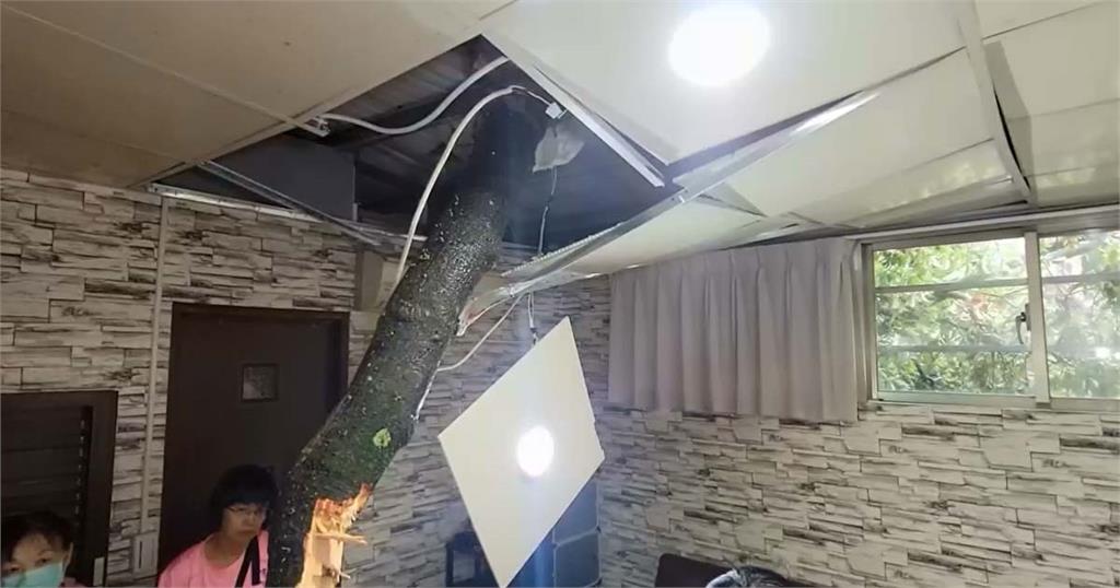 快新聞／基隆強風吹倒民宅上方大樹　「撞破屋頂」插進天花板