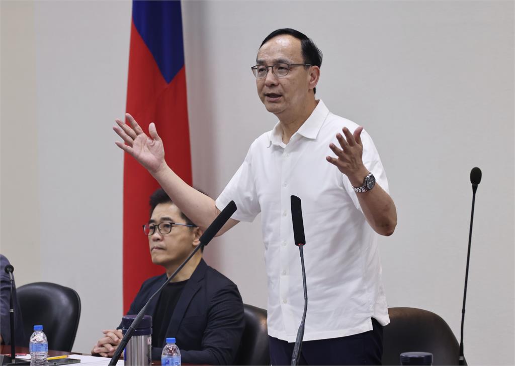 國民黨主席參選爆炸!她曝:要繳1320萬元才能登記 「說說而已不用錢」