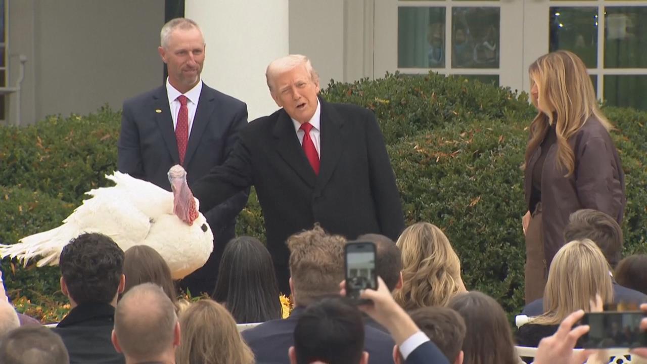 川普特赦火雞興奮學雞叫！　差點幫牠們取「這名字」