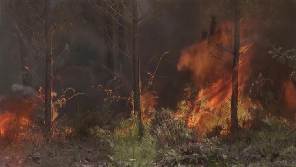 極端熱浪襲歐洲 法野火燒毀往年6倍面積