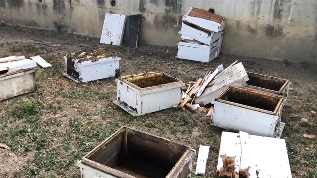 蜂箱貨車自撞釀禍！  上千蜜蜂竄出滿天飛