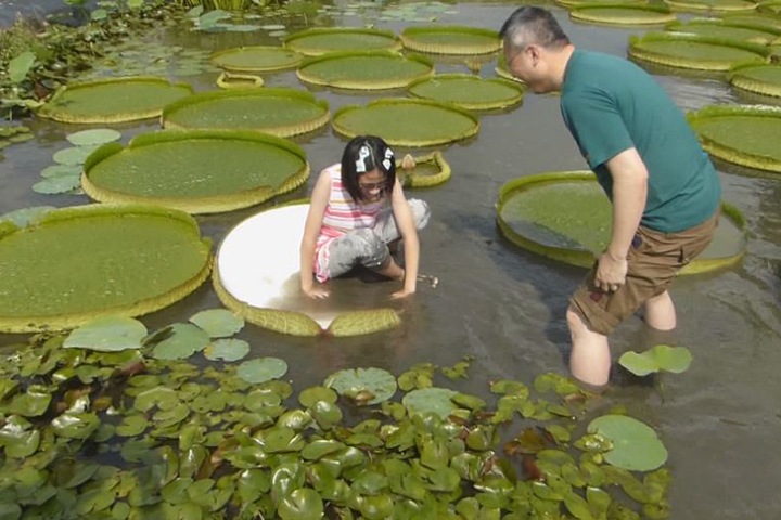 只要和這種植物一起入鏡 你也可以拍出妖精系美照