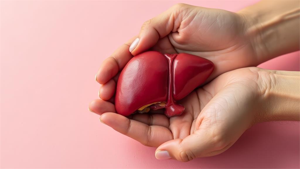 有脂肪肝怎麼辦?脂肪肝「5徵兆」不輕忽 醫提醒:掌握「3關鍵」可望逆轉脂肪肝!