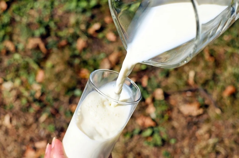 「燕麥＋牛奶」不利補充鈣質！營養師曝「4種NG搭配」：恐骨質流失