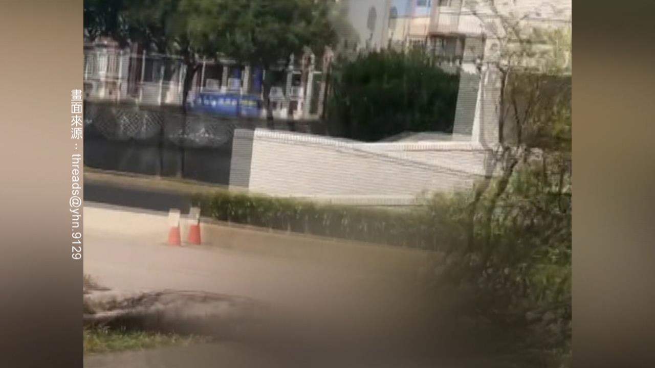 風箏卡樹枝！　女高中生一拉「樹連根被拉倒」