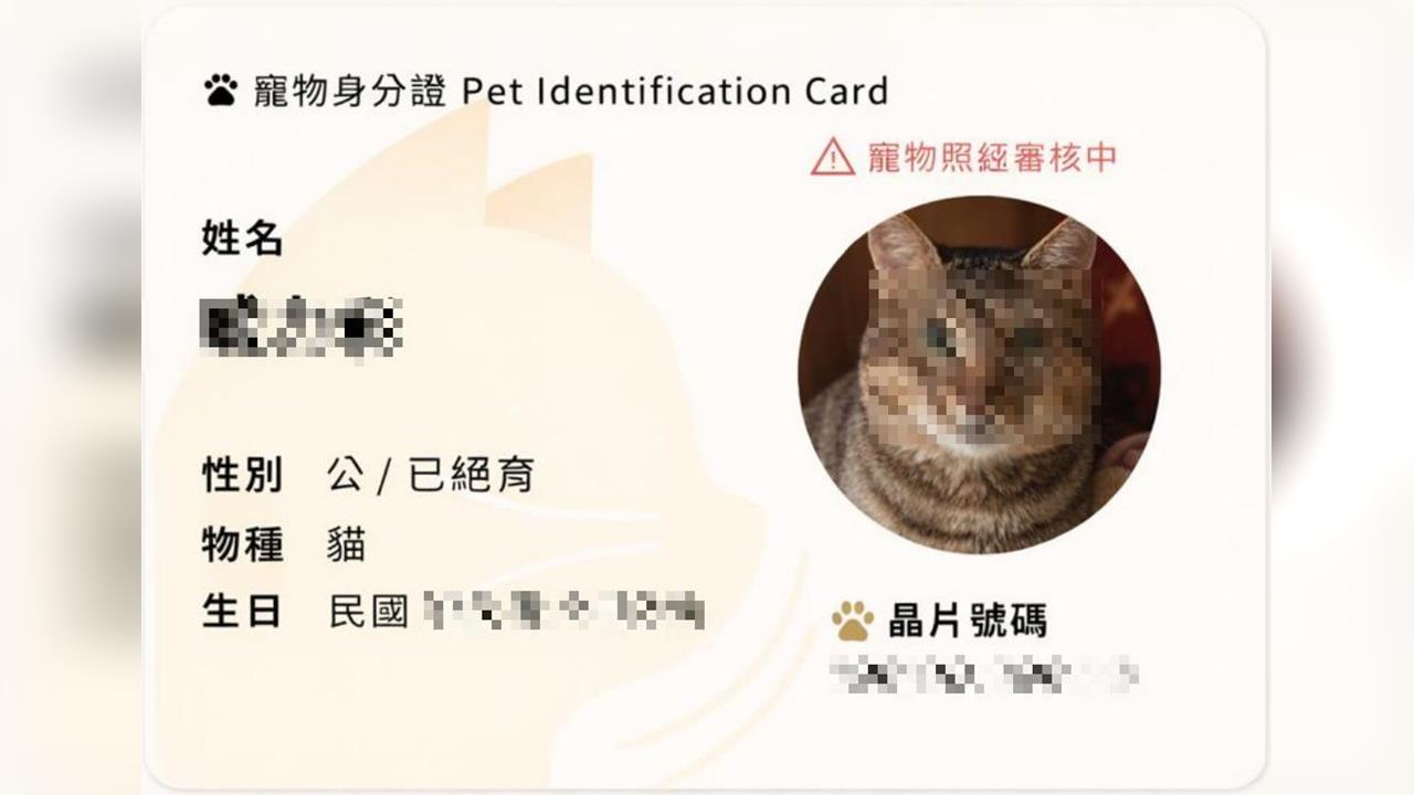 快新聞／快報戶口！網掀分享寵物身分證熱潮　明年元旦起未登記開罰