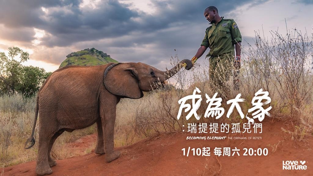 一場關於愛、治癒與回家的漫長告白:紀錄片影集《成為大象》Love Nature 溫情播出