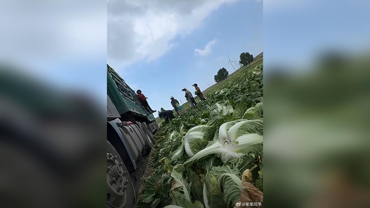 中國食安又出包！　「白菜沾甲醛」用黑心維持賣相