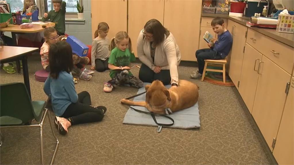 美國小學請來"工作犬"伴讀　有效紓解師生壓力