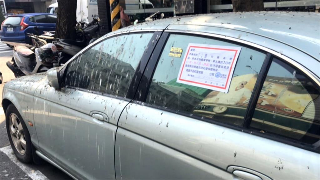 3百萬捷豹名車當廢鐵 背後感傷愛情故事