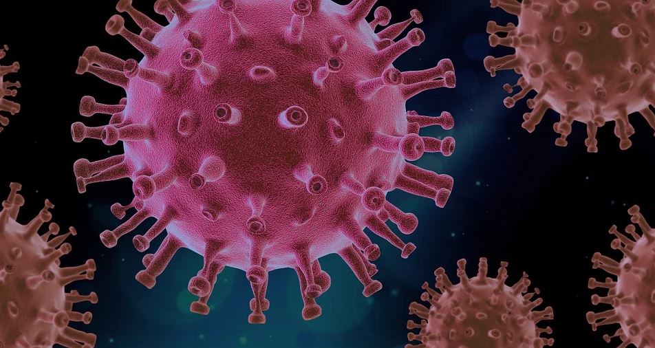 澳美合作研發抗疫療程　動物試驗證實消滅99.9%病毒