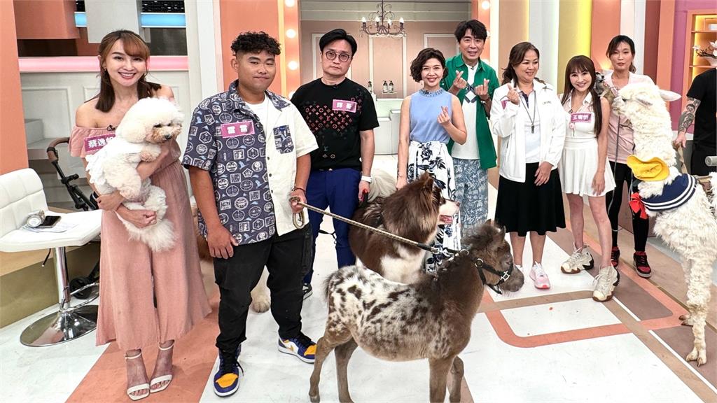 超人氣萌寵來到《姊妹亮起來》！梁赫群也開心互動直呼超可愛