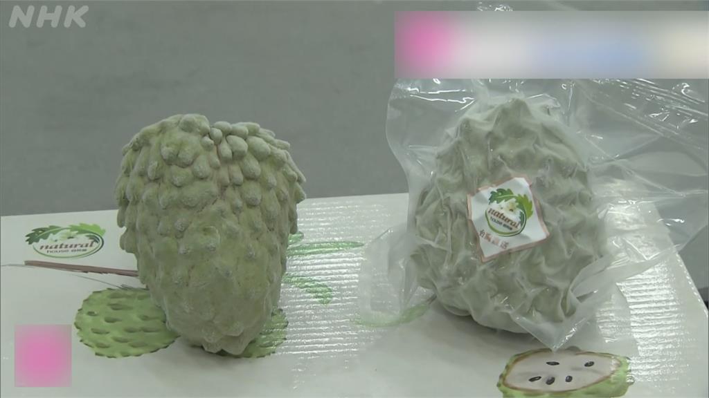 1萬箱鳳梨釋迦運抵日本 吸引媒體來開箱