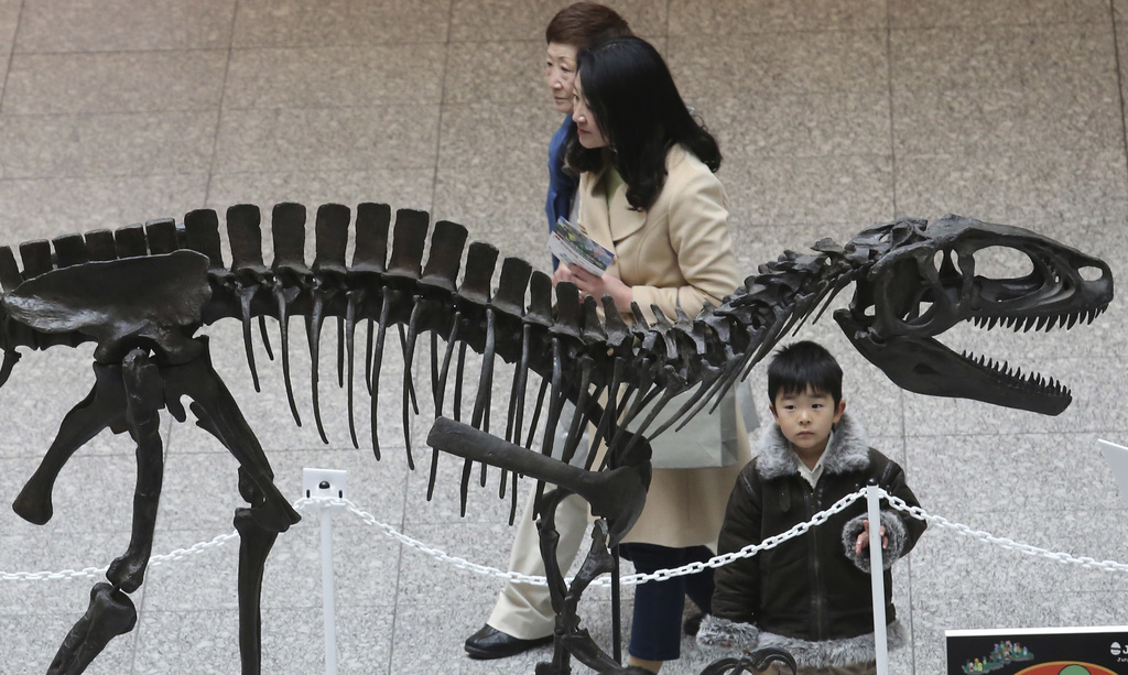 福井恐龍博物館出招　大小朋友搶搭！暑假期間推恐龍列車