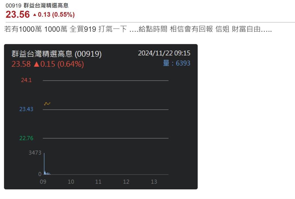 00919配息季季漲 網友：1000萬全買 財富自由