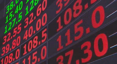 愛山林宣布股利分派   現金1元+股票股利4元！