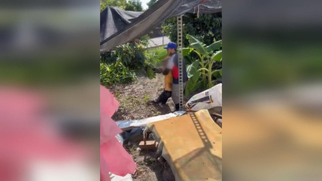 南投八旬老農田間工作熱暈　清潔員路過救回一命