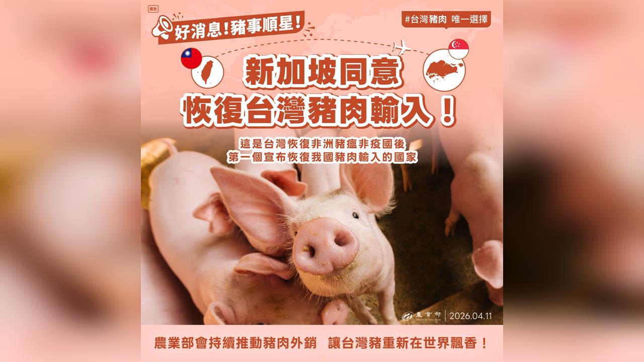 快新聞／豬肉可以出口至新加坡了！農業部開心宣布：讓台灣豬再次走向世界