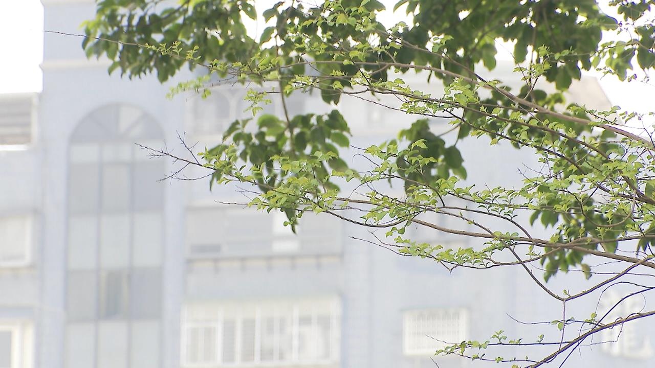 換季哈啾、眼睛癢不一定是感冒! 醫師:可從增加腸道好菌.調整體質