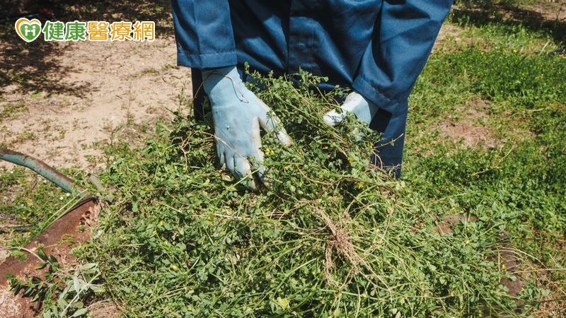 老翁遭蛇咬「以口吸毒」還帶「兇手」求救　醫示警：不當處置更危險