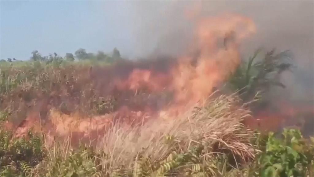 印尼蘇門答臘野火成災 霧霾飄馬來西亞嚴重空污