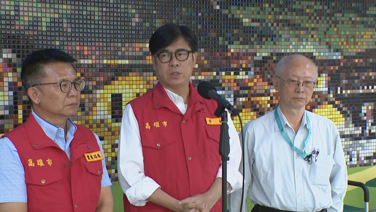 快新聞/支持林岱樺選高雄市長!林佳龍力挺「不貪不取」 陳其邁發聲了