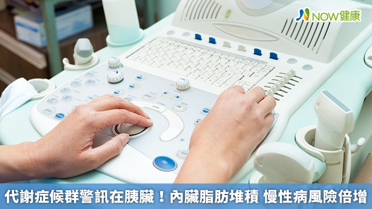 代謝症候群警訊在胰臟！內臟脂肪堆積　慢性病風險倍增