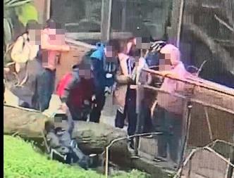 快新聞／動物園驚傳男童落水意外！　疑似邊滑手機邊聊天釀禍
