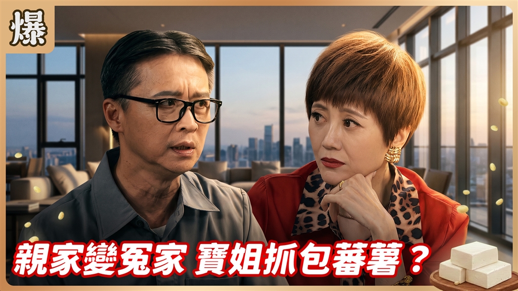 《豆腐媽媽-EP204精彩片段》親家變冤家 寶姐抓包蕃薯？ 