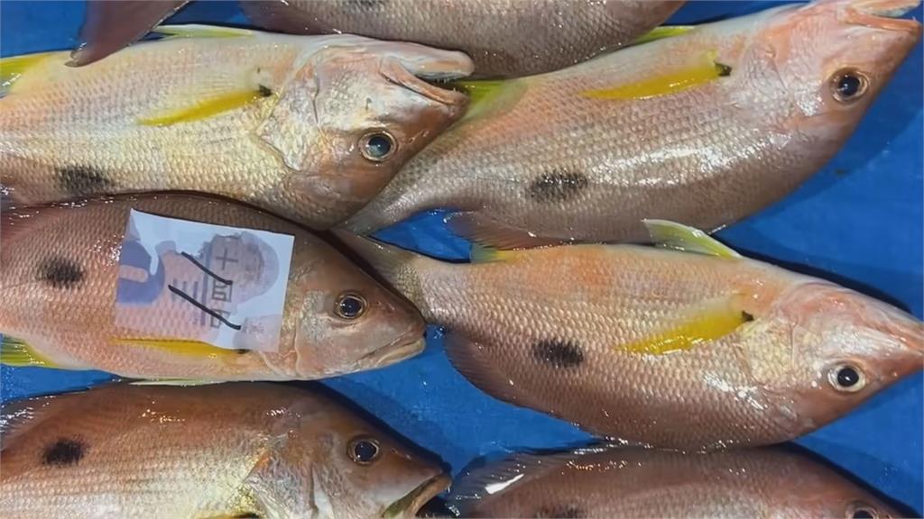 澎湖海鮮媲美日本！她揭台灣高級魚貨「保鮮宰殺手法」　直誇：物超所值