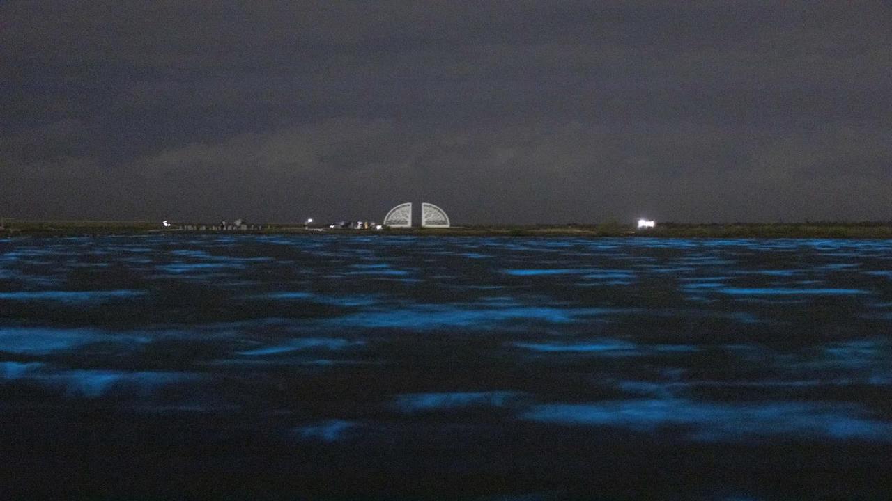 罕見美景！台南扇形鹽田前出現「藍眼淚」　　吸引民眾朝聖讚嘆