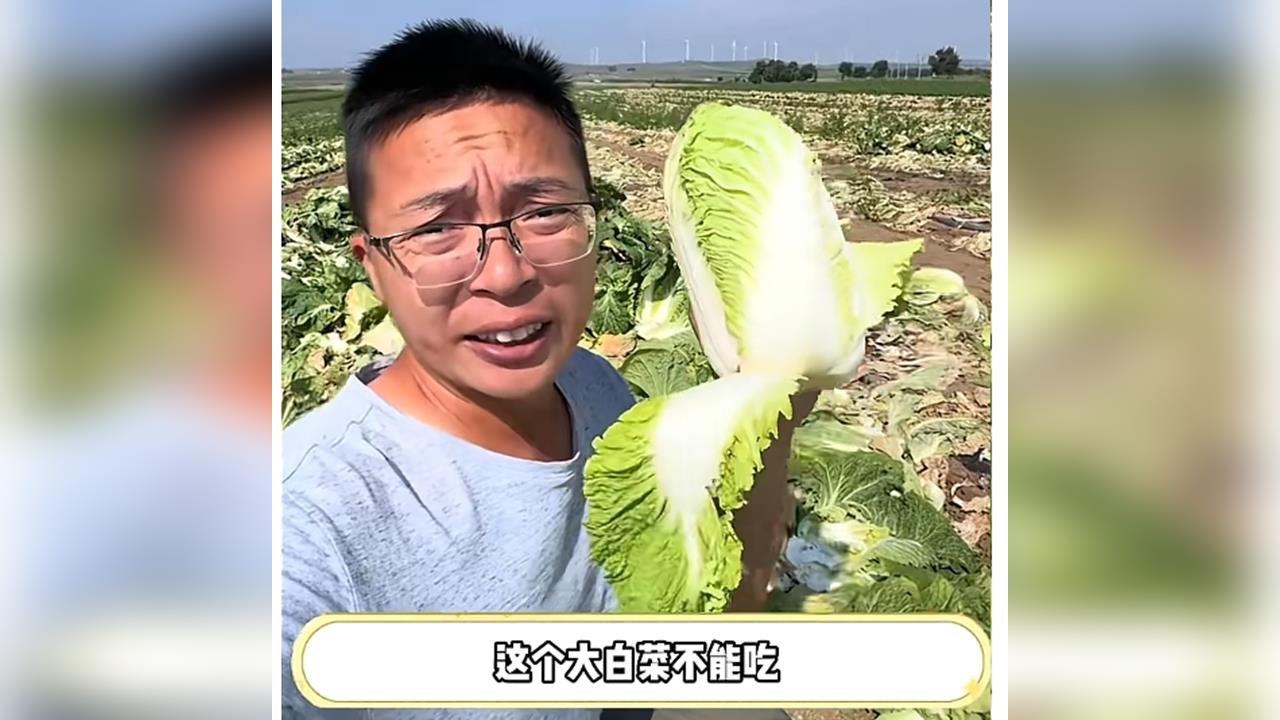 中國被踢爆輸出「甲醛白菜」　網友憂越南進口菜「洗產地」流入台
