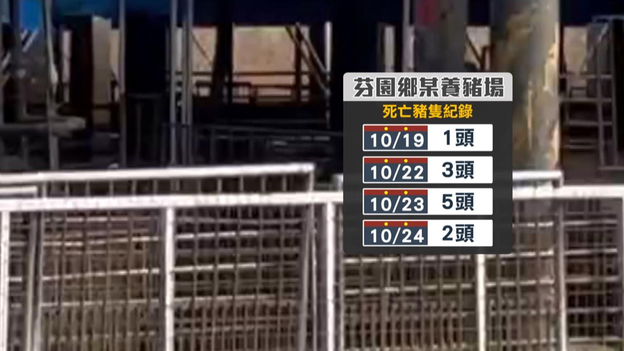 找到了! 台中養豬場爆非洲豬瘟 廚餘來自梧棲清潔隊