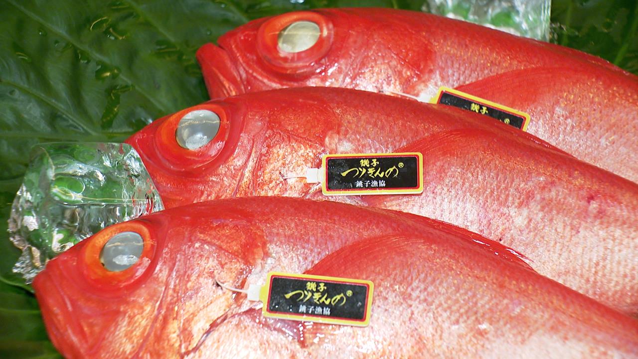 日本食品進口解禁　千葉知事來台推廣「敬賀之魚」金目鯛