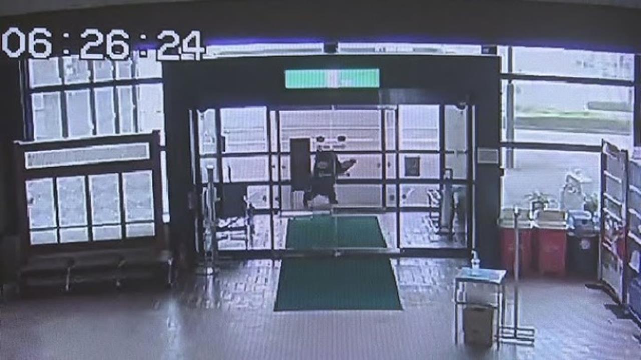 快新聞/國際關注!昨日本再傳多起熊害 英政府發旅遊警示