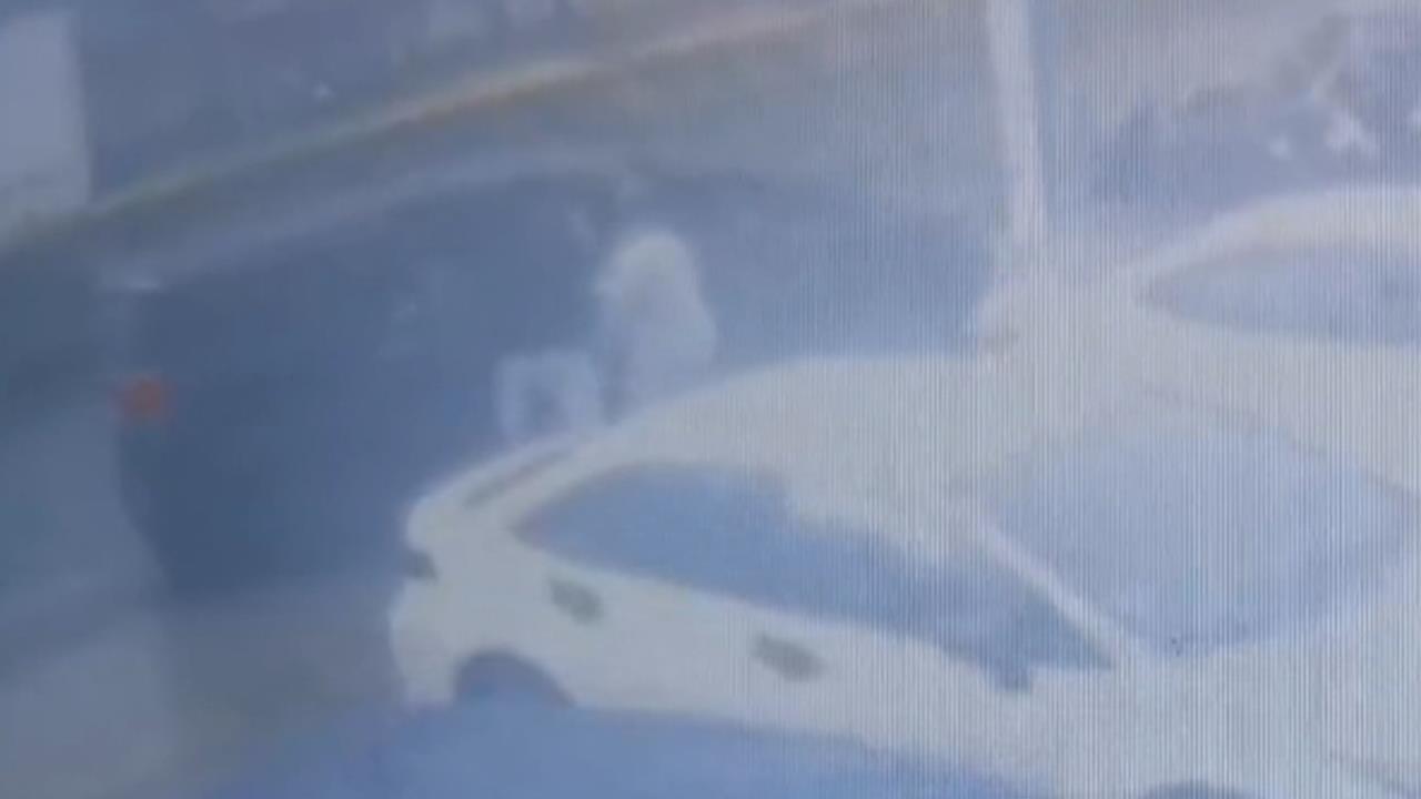 逼債竟當街強擄一家三口　抓到9惡煞竟有8人未成年