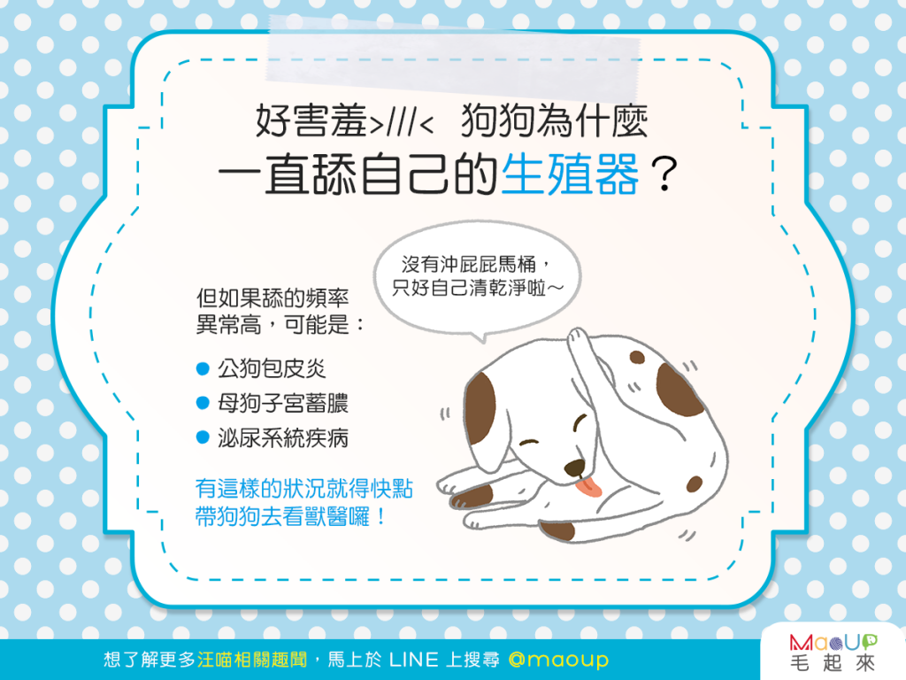 【汪汪康健】羞羞臉！狗狗一直舔自己的生殖器是為什麼？！