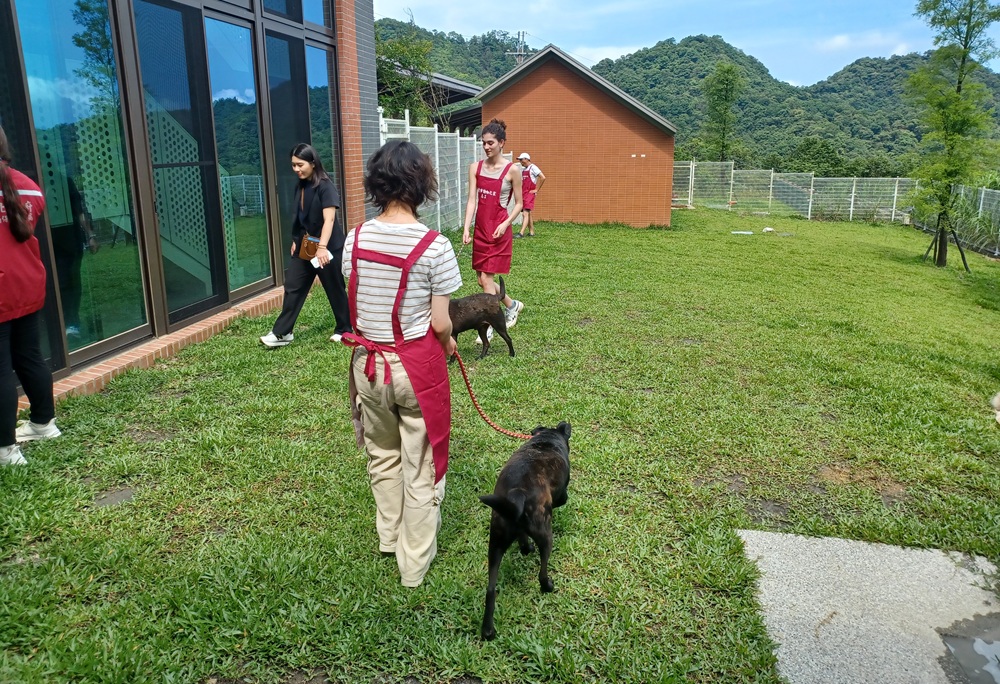 鼓勵認養犬貓　新北瑞芳動物之家推免費接駁車